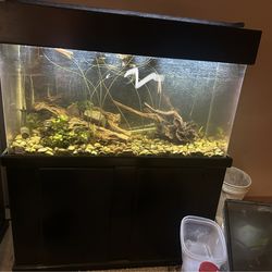 Aquariums for sale