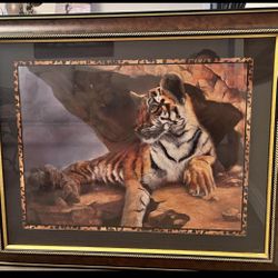 Cuadros De Tigres 