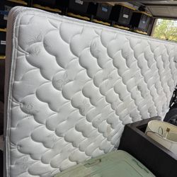 Free Couch / Mattress