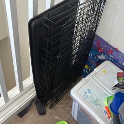 Animal Cage, Don’t Use It Anymore. 