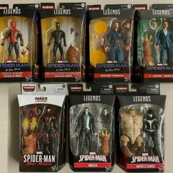 Marvel Legends Action Figures 