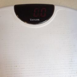 Taylor Bathroom Digital Scale