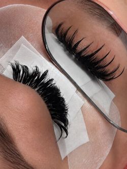 Lashes