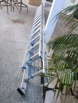 Two ladders, 12' and 24'