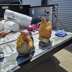 Chicken and rooster