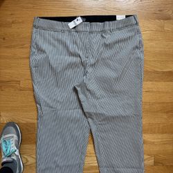 Lane Bryant Striped Trousers NWT