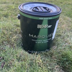1Gallon Paint 