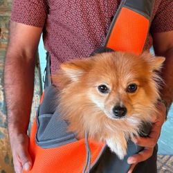 Small Dog Sling