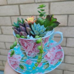 Mother's Day Arrangements 