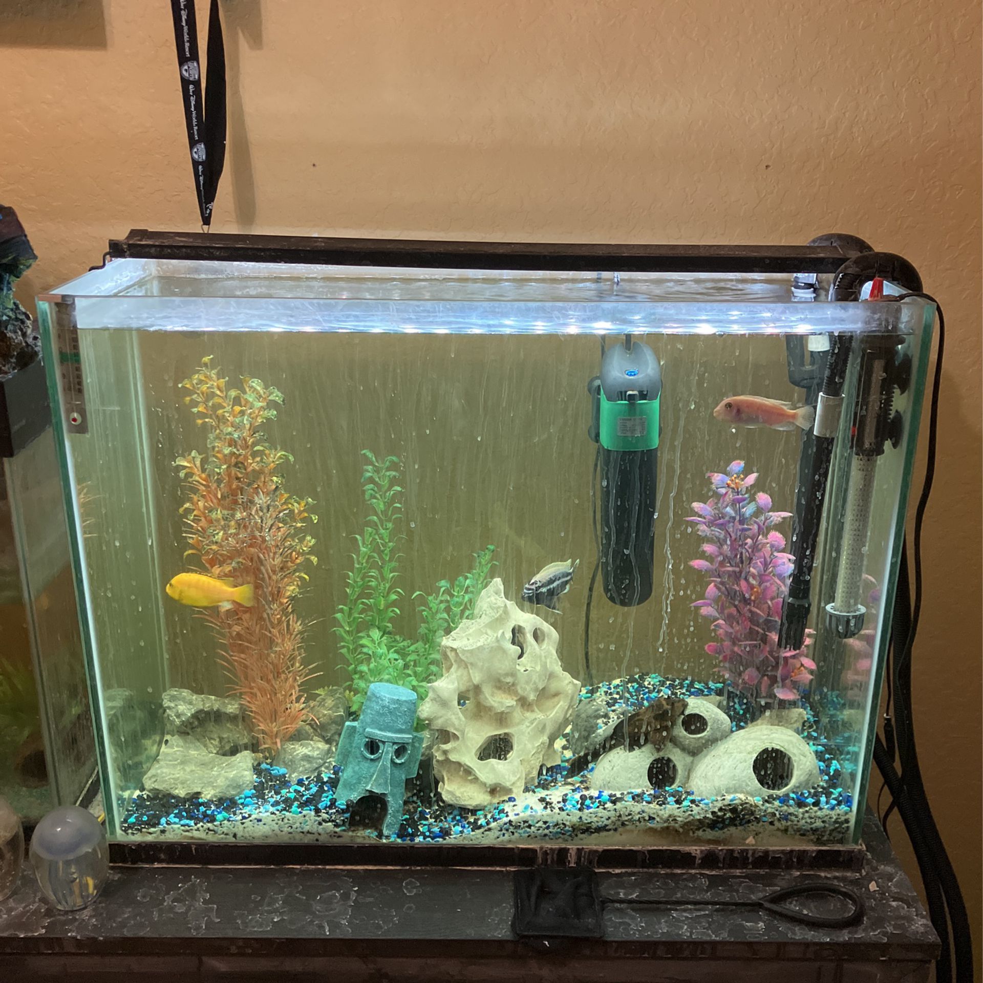 35 Gallon Fish Tank And Stand 