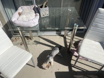 2 chairs glass dinner table