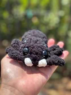 Crochet Black Jumping Spider 🕷️ plushie 🕷️ handmade 🕷️