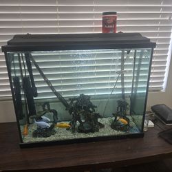 40 Gallon Fish Tank With Canister Filter