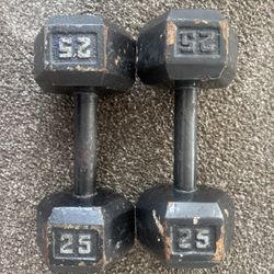 25 Lb Dumbbell X 2