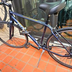 Giant Escape Hybrid Bicycle 
