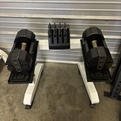 Ajustable Pepin Dumbbells Plus Stand 