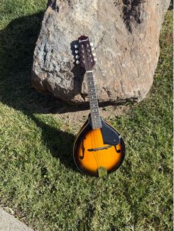 Wooden. Mandolin.