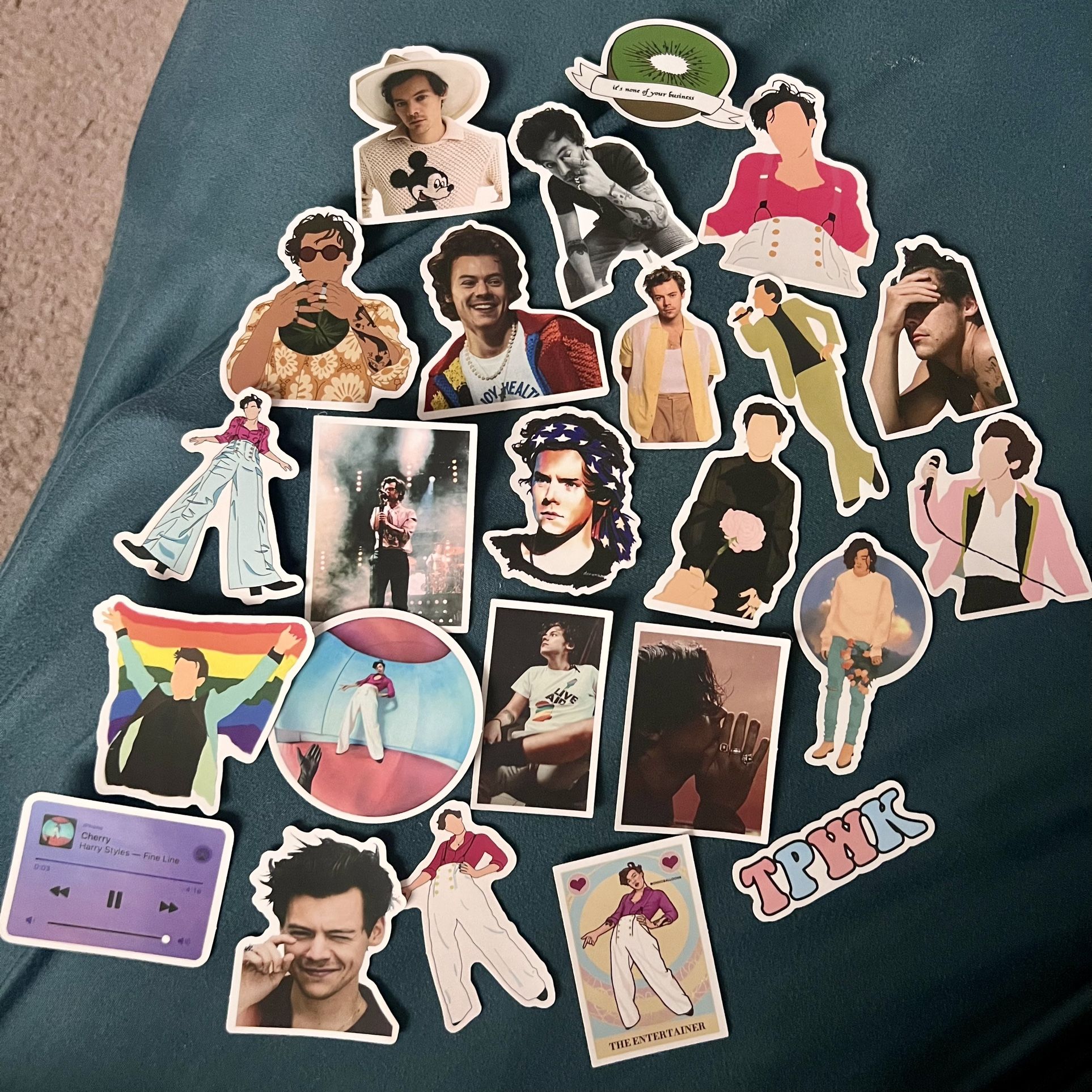 Harry Styles Vinyl Waterproof Stickers for Mugs, Laptop, Luggage, etc.