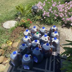 Honey 100% Pure Local 