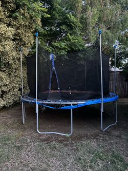 Free Trampoline