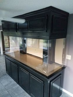Brand new 300 gal fish tank