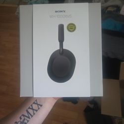 Sony Headphones