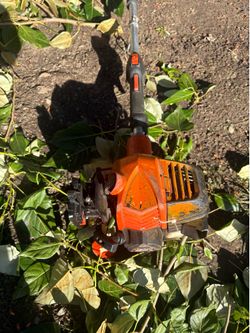Echo hedge trimmer