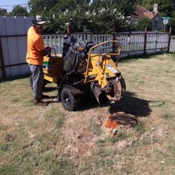 Garland And mesquite 