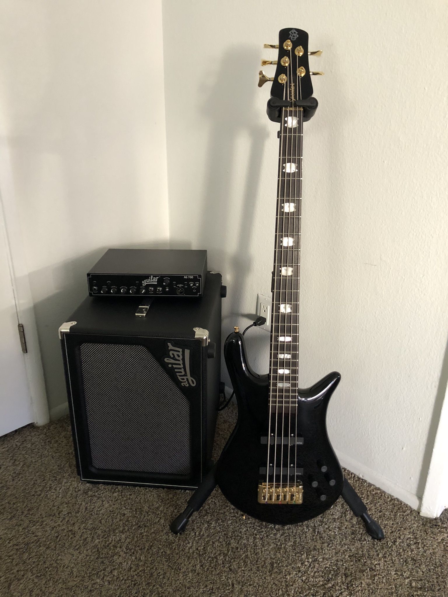 Spector Euro 5 Classic Brand New