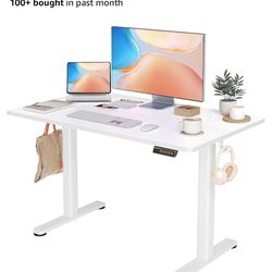 48 X 24 Standing Electric Desk