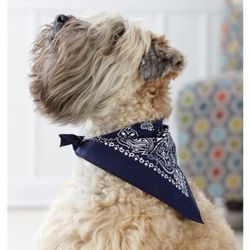 Doggy Bandana-Perfect For July 4th!