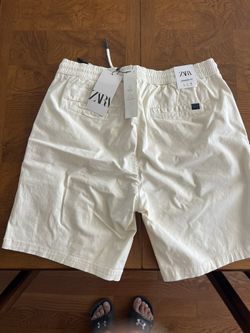 Zara Shorts