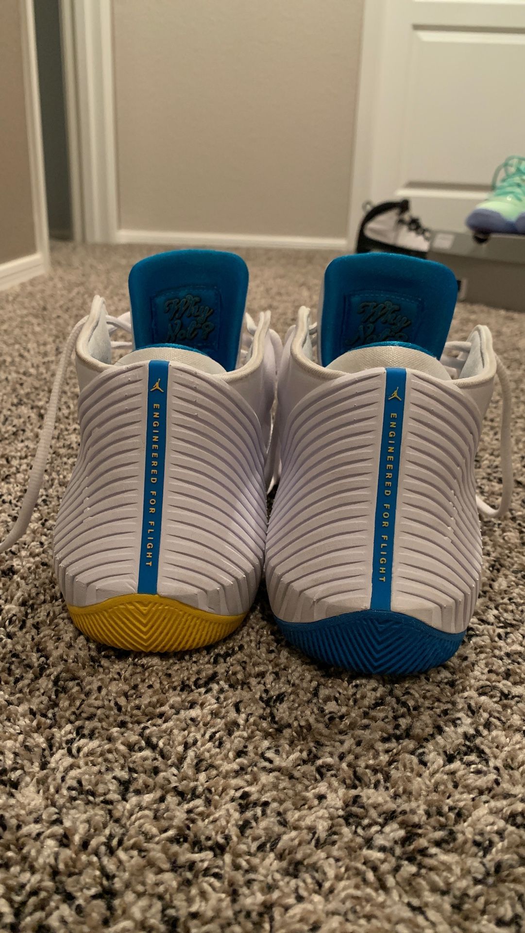 Jordan why not zer0.2 size 10.5