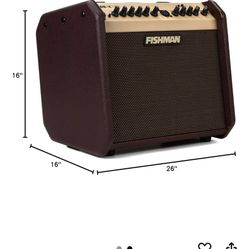 Fishman Loud box Mini