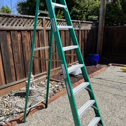 Werner fiberglass 8 foot ladder 