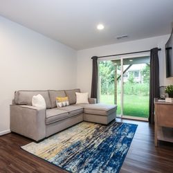 Living Room Couch and TV