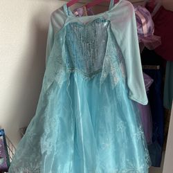 Anna & Elsa Dress Disney Store Edition 3t 4t