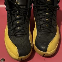 Air Jordan 12 Retro 