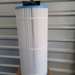 Pentair Clean and Clear Plus 100 Core and Cartridge Replacement 