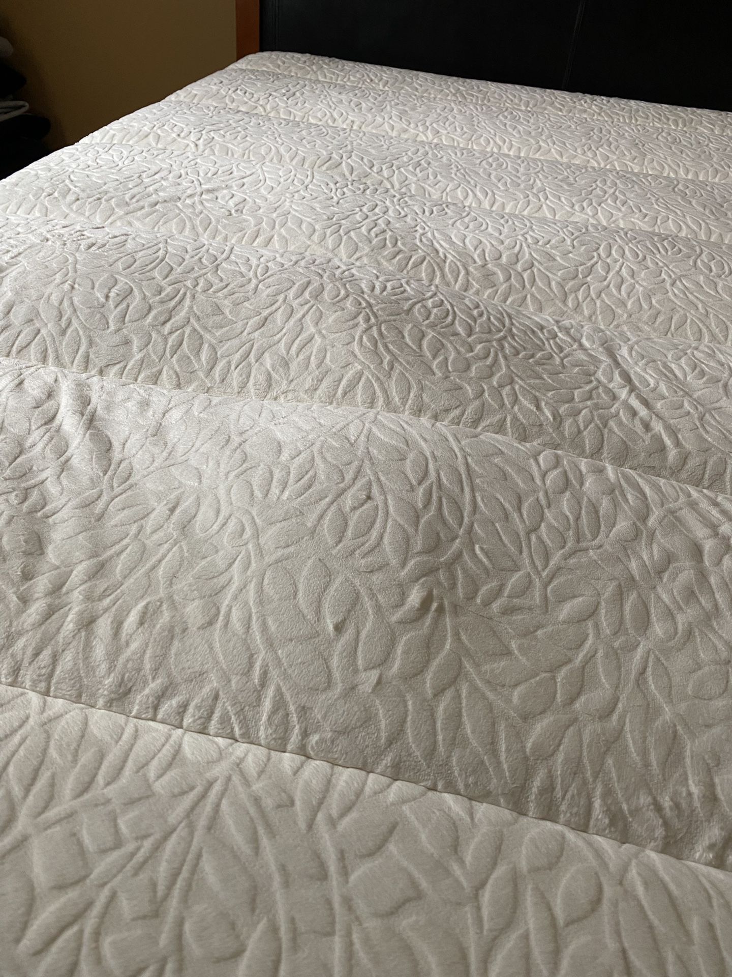 Queen Size Bed In Great Condition!!