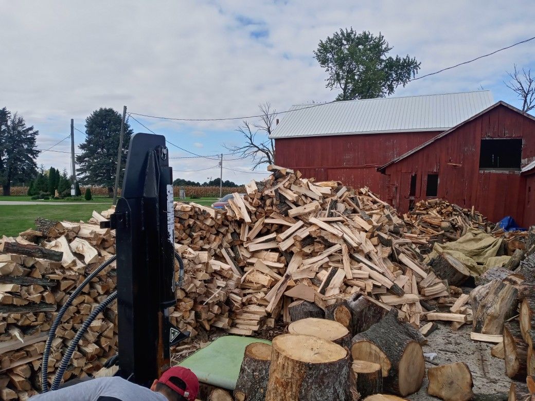Firewood