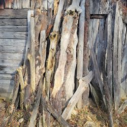 Pine Slabs For Sale