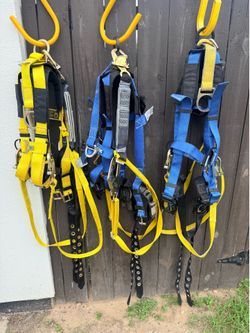 Harnesses