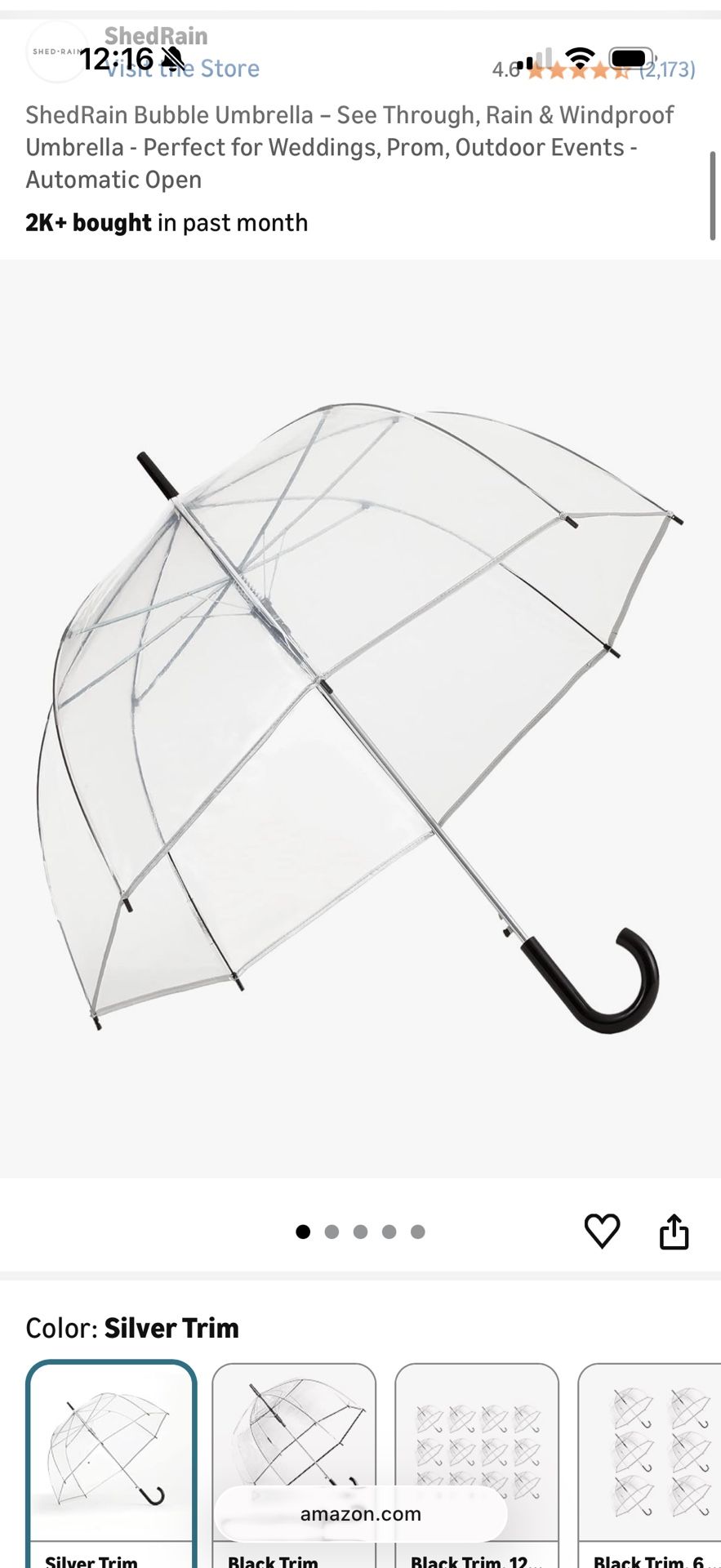 Clear Bubble Umbrellas 