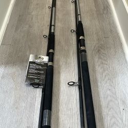 Surf Fishing Rods