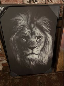 Animal portraits