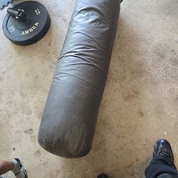 80lb Punching Bag