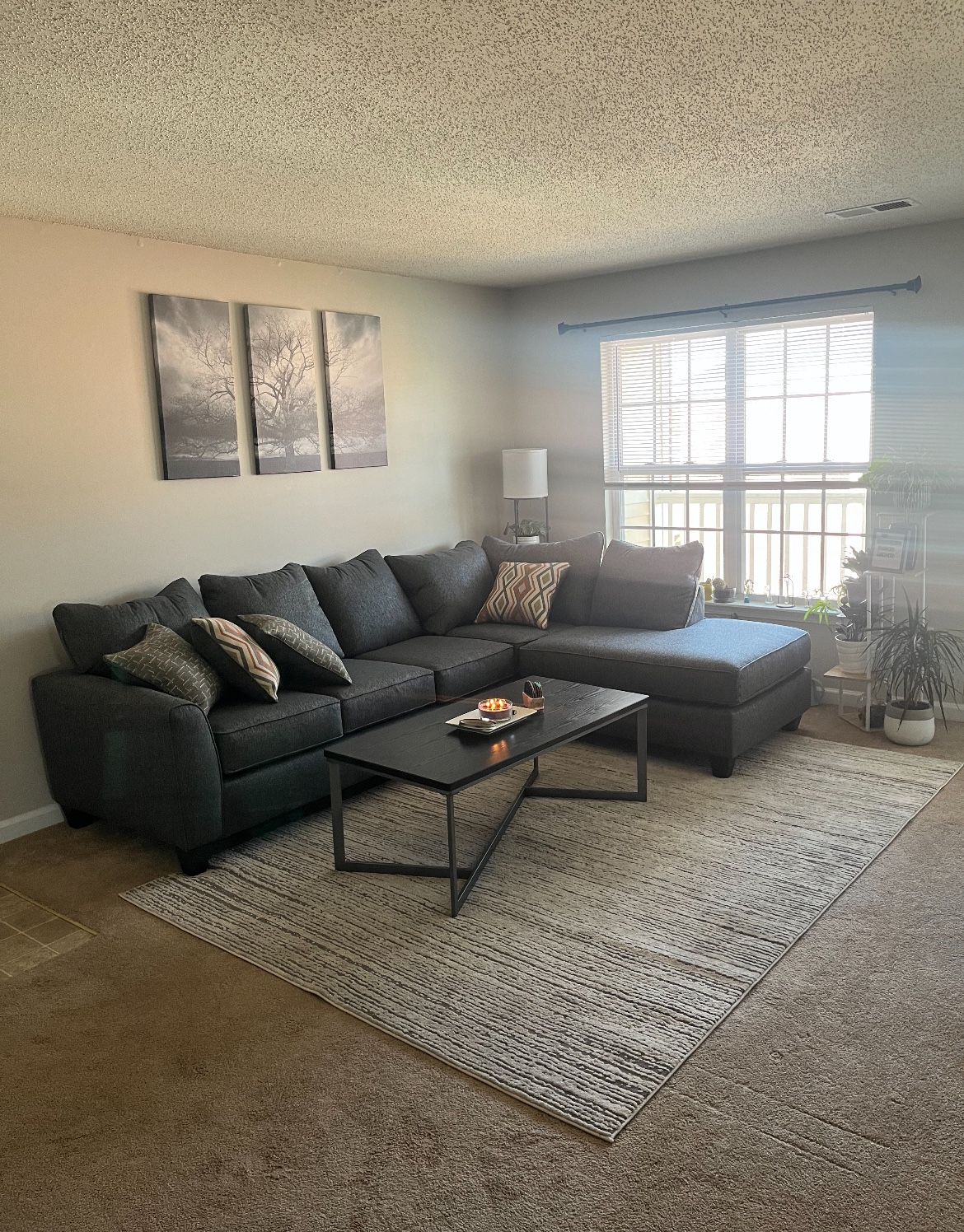Couch With Chaise Lounge