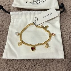 Coach Bracelet (heart, dinosaur, signature C): BRAND NEW