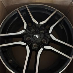 Mustangs Gt Wheels 